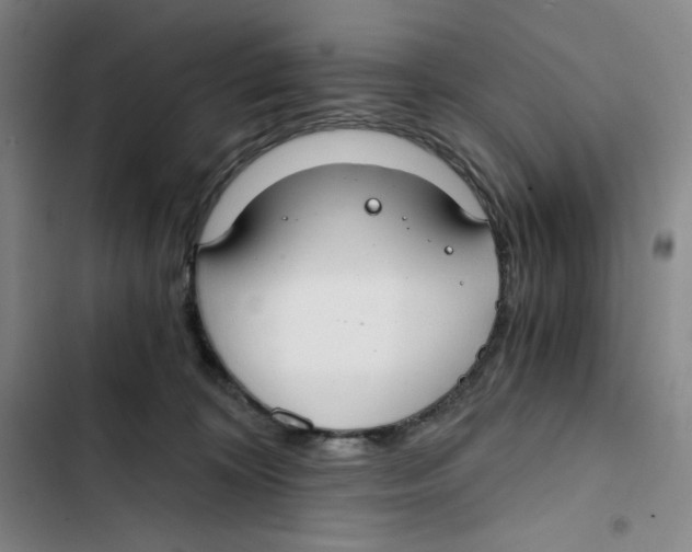 X0000102820324200809151021
