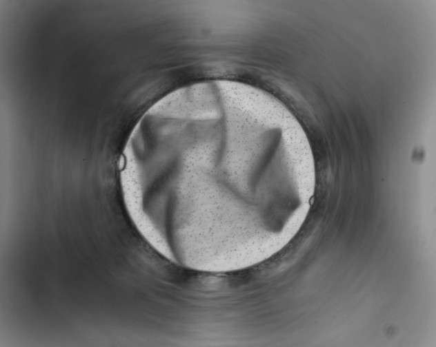 X0000102820325200809151021