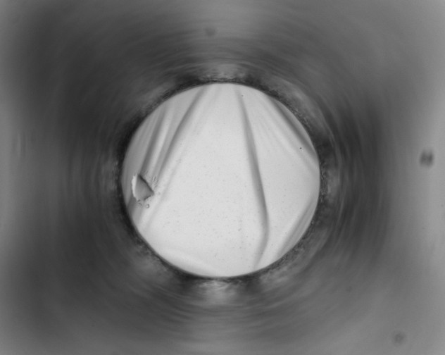 X0000102820326200809151021