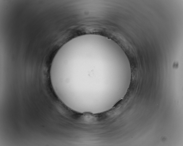 X0000102820327200809151021