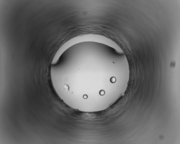 X0000102820328200809151021