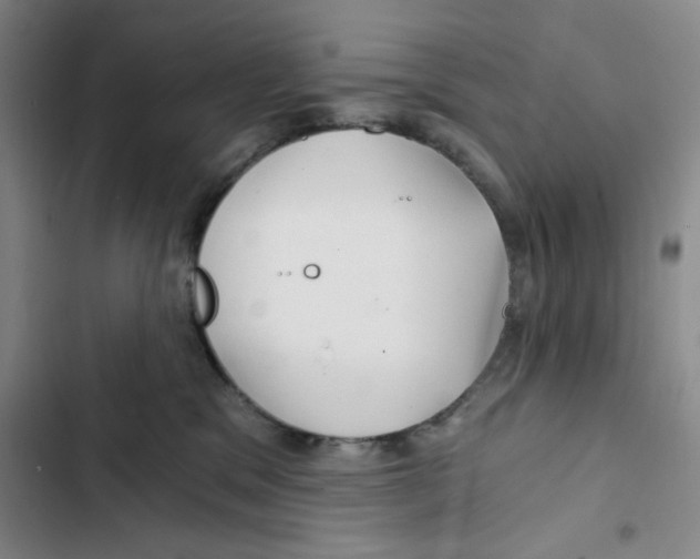 X0000102820329200809151021