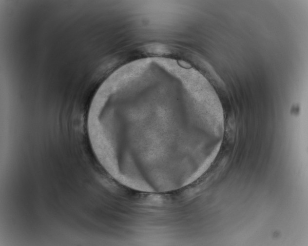 X0000102820330200809151021