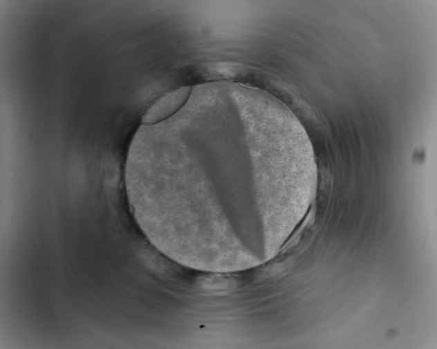 X0000102820331200809151021