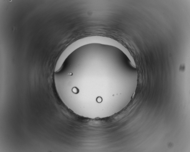 X0000102820332200809151021