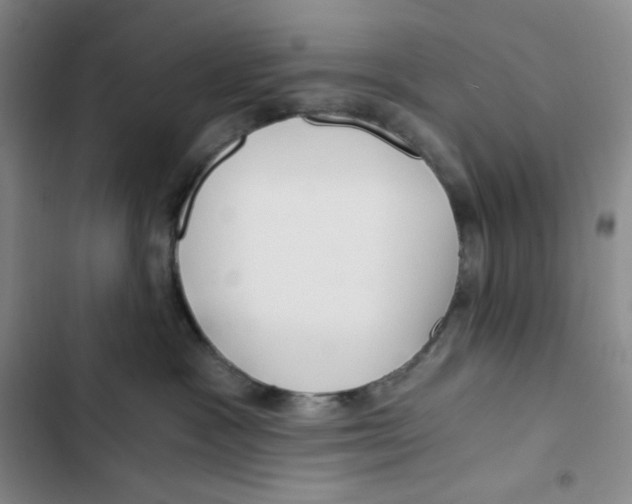 X0000102820333200809151021