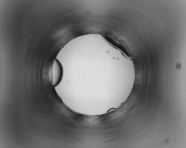 X0000102820334200809151021