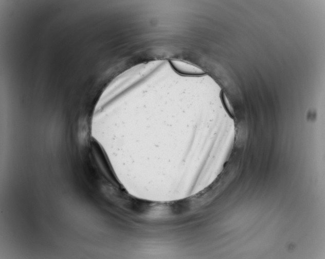 X0000102820335200809151021