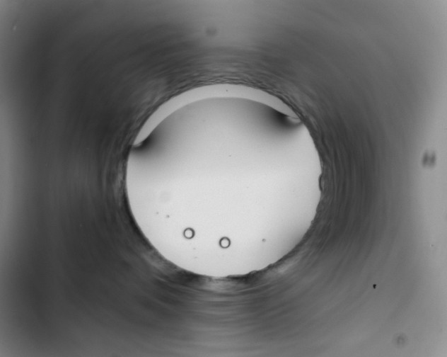 X0000102820336200809151021