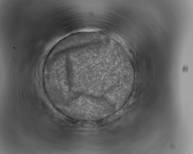 X0000102820337200809151020
