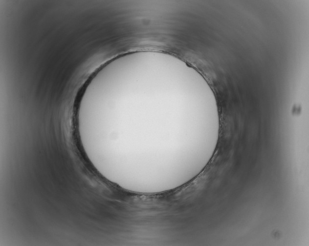 X0000102820338200809151020