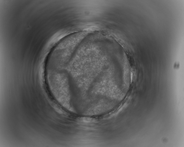 X0000102820339200809151020