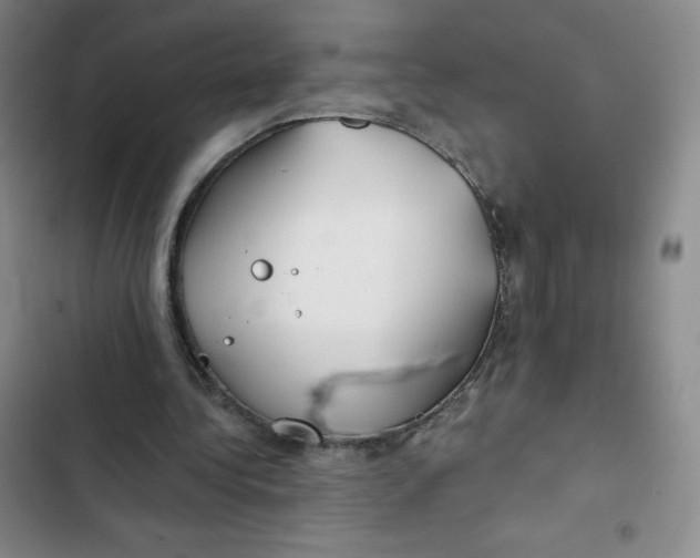 X0000102820340200809151020