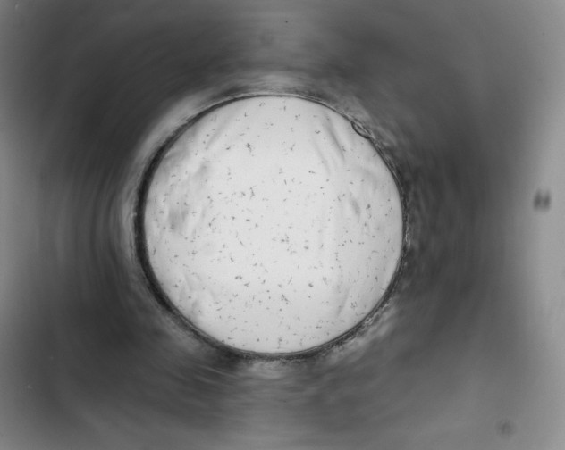 X0000102820341200809151020
