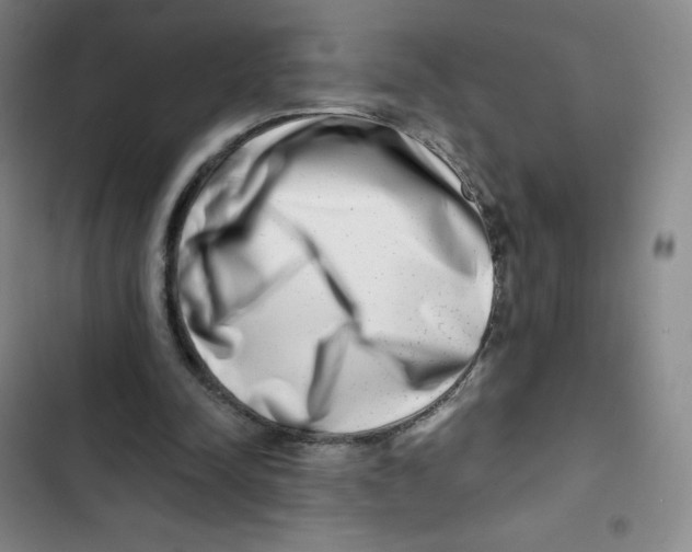 X0000102820342200809151020