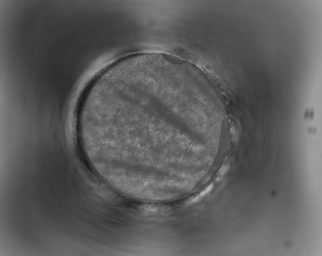 X0000102820343200809151020