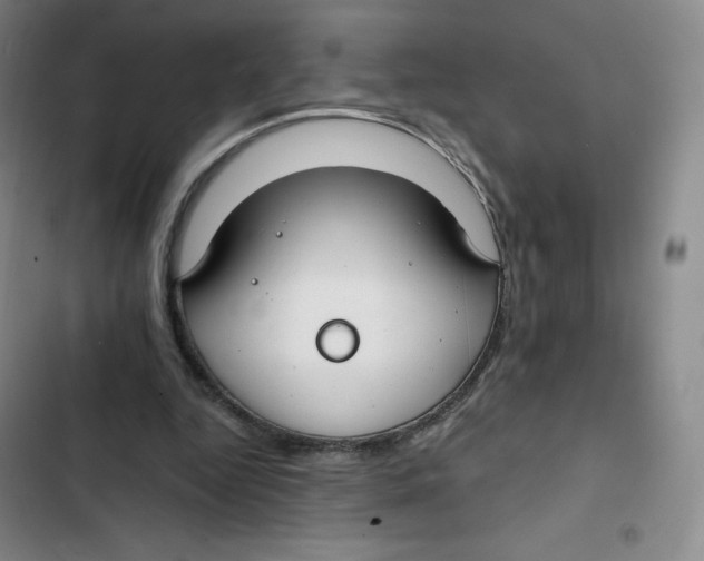 X0000102820344200809151020