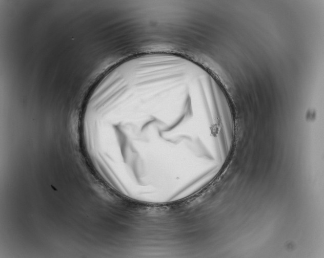X0000102820345200809151020