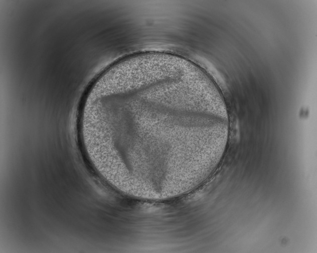X0000102820346200809151020
