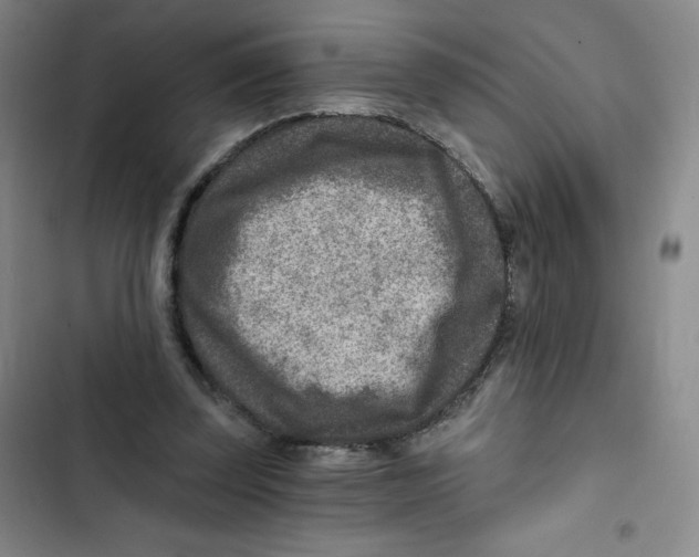 X0000102820347200809151020