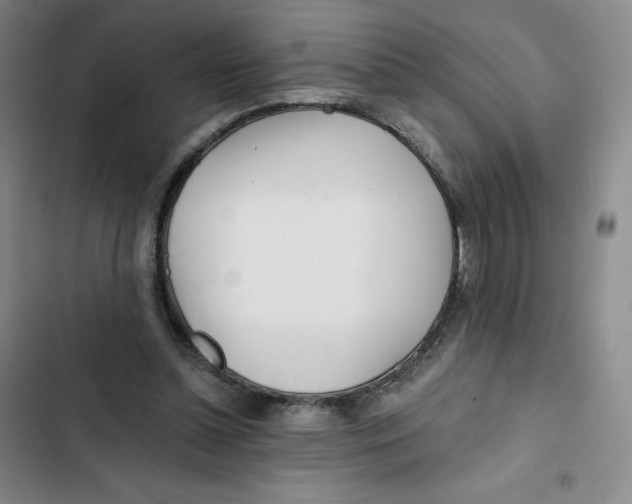 X0000102820348200809151020