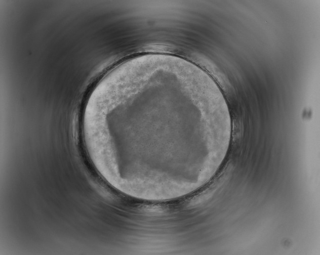 X0000102820349200809151020