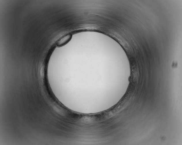 X0000102820350200809151020