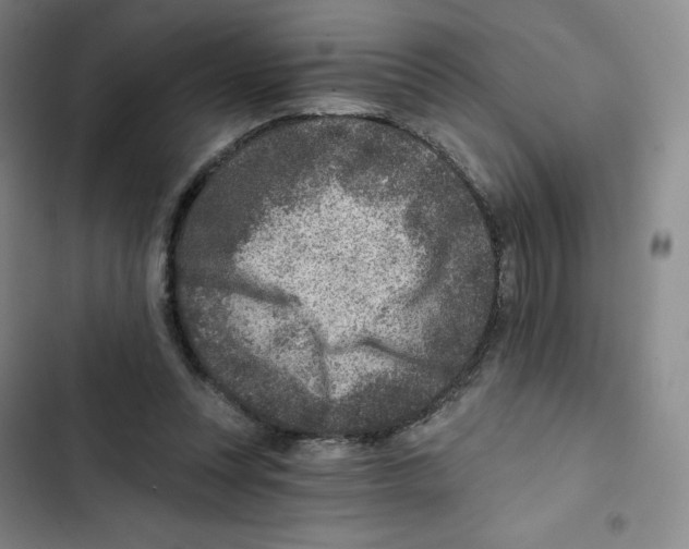 X0000102820351200809151020