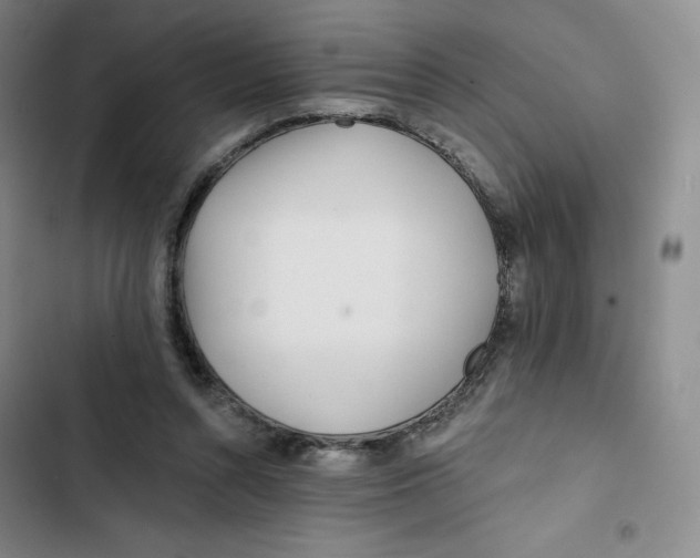 X0000102820352200809151020