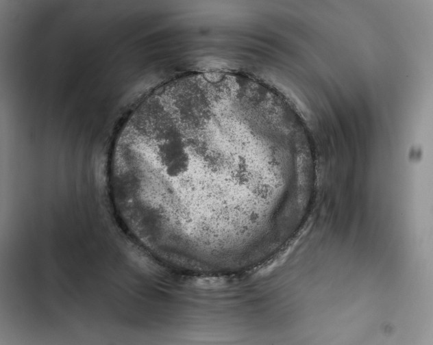 X0000102820353200809151020