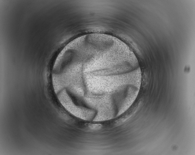 X0000102820355200809151020