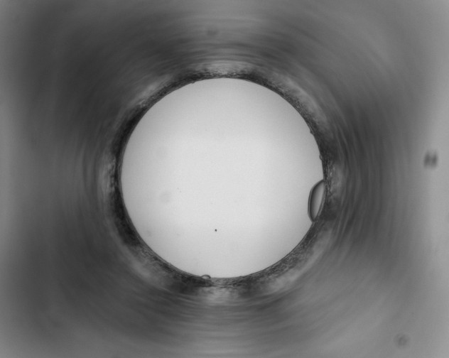 X0000102820356200809151020