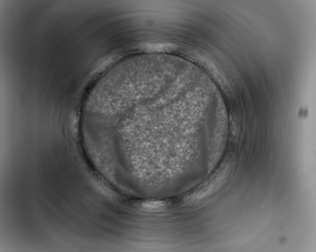 X0000102820357200809151020