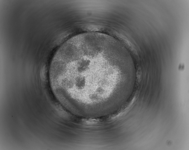 X0000102820359200809151020