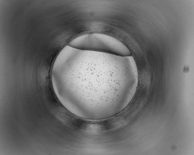 X0000102820360200809151020