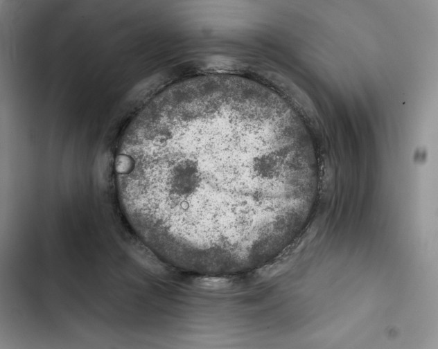 X0000102820361200809151020