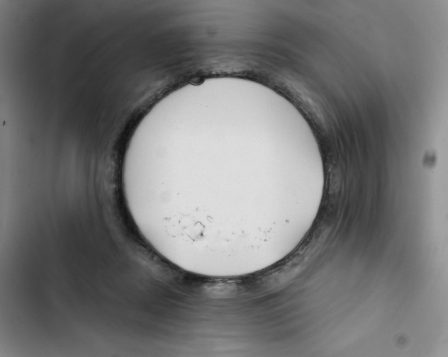 X0000102820362200809151021