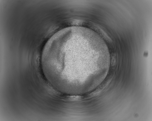 X0000102820363200809151021
