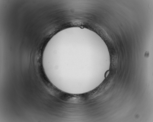 X0000102820364200809151021