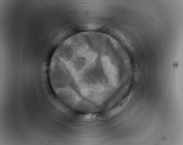 X0000102820366200809151021