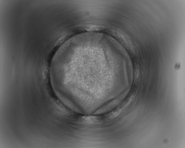 X0000102820367200809151021