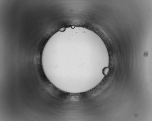 X0000102820368200809151021