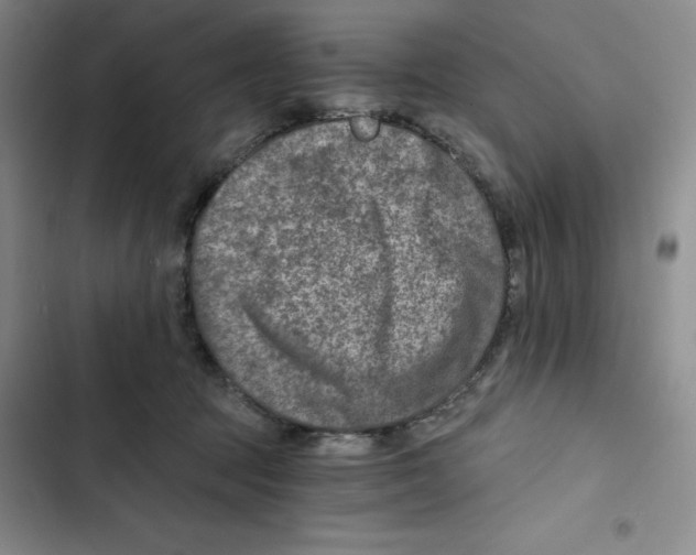 X0000102820369200809151021