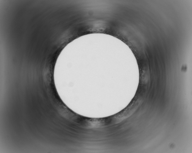 X0000102820370200809151021
