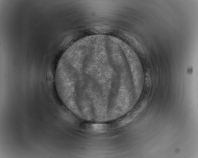X0000102820371200809151021