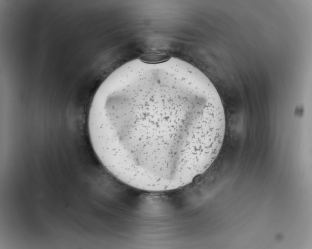 X0000102820372200809151021