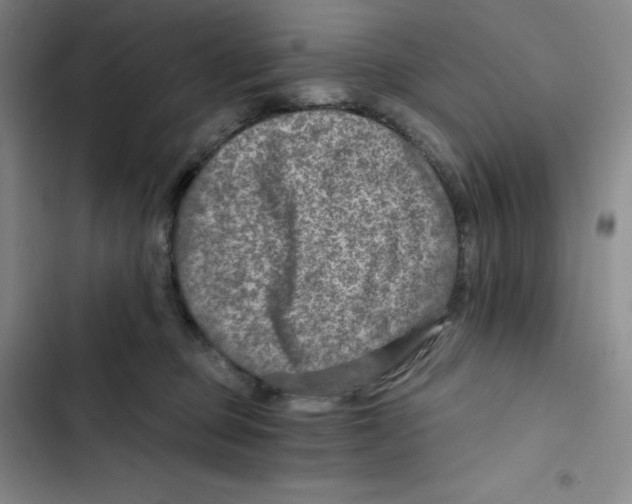 X0000102820373200809151021