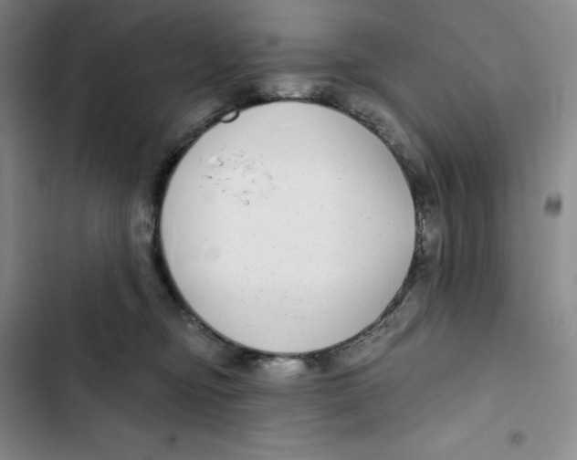 X0000102820374200809151021