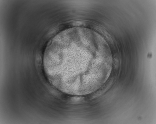 X0000102820375200809151021