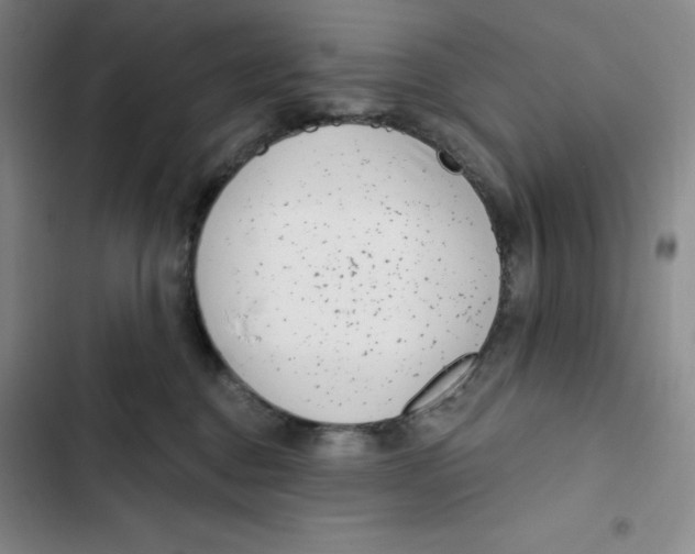 X0000102820376200809151021